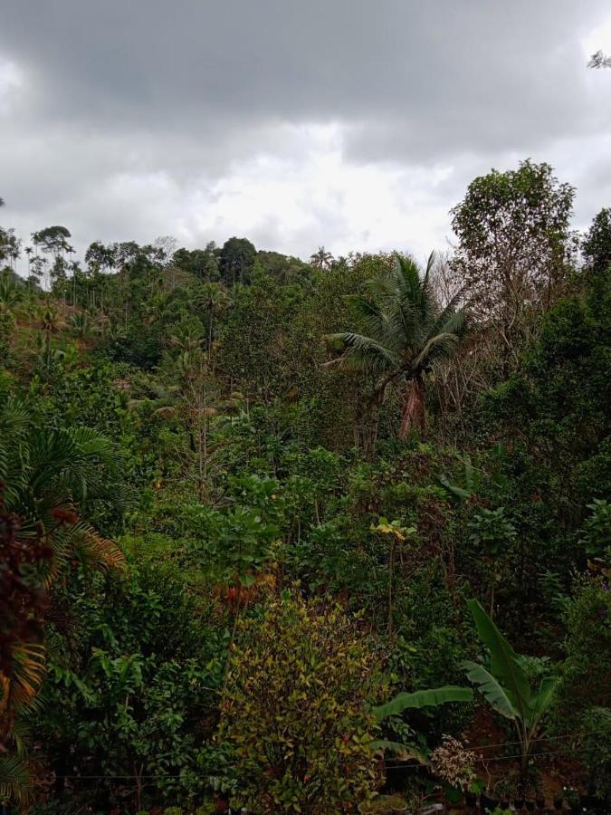 Maliyeckal Homestay Munnar Luaran gambar