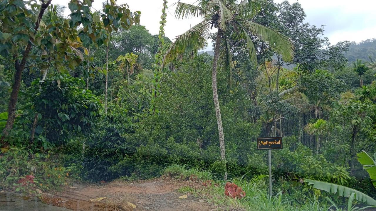Maliyeckal Homestay Munnar Luaran gambar