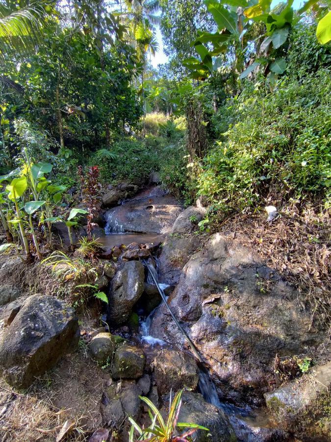 Maliyeckal Homestay Munnar Luaran gambar
