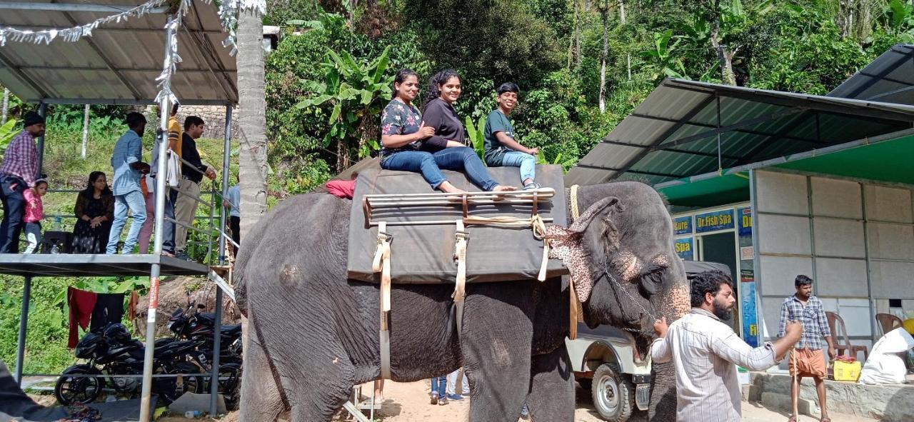 Maliyeckal Homestay Munnar Luaran gambar