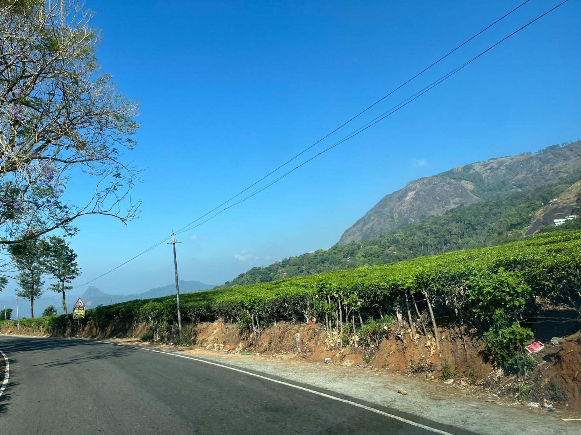 Maliyeckal Homestay Munnar Luaran gambar