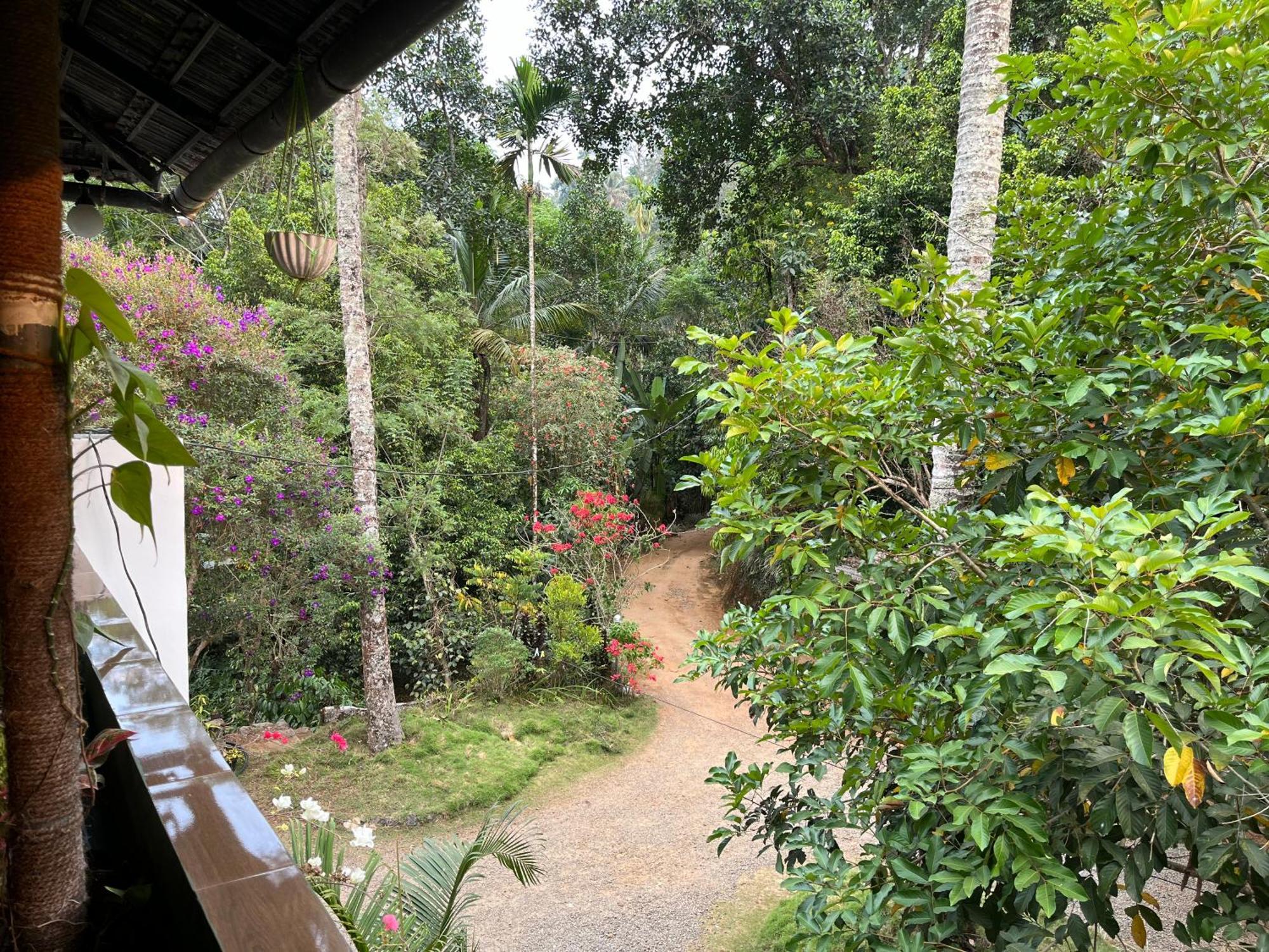 Maliyeckal Homestay Munnar Luaran gambar
