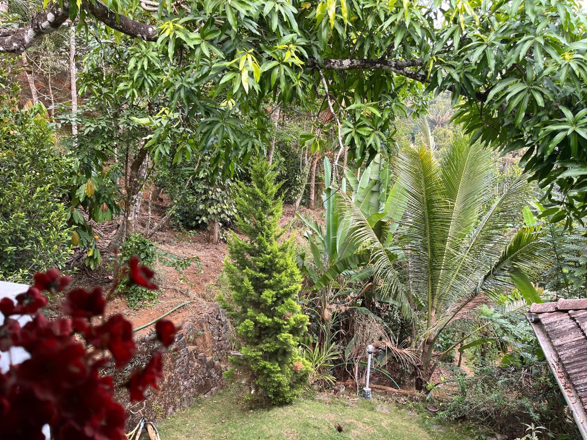 Maliyeckal Homestay Munnar Luaran gambar